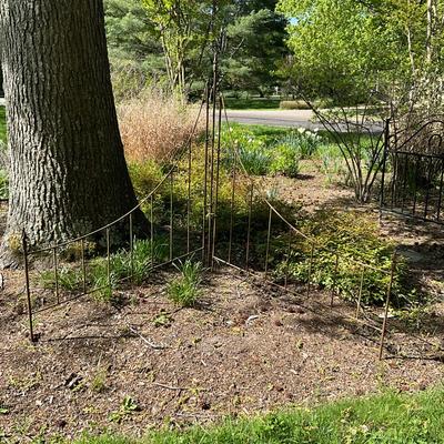 O558 Vintage Two Section Curved Metal Garden Trellis