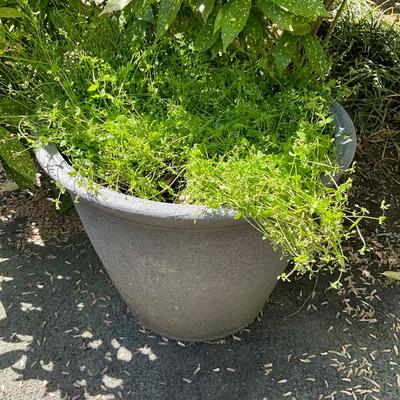 O564 Large Round Stone Finish Composite Planter