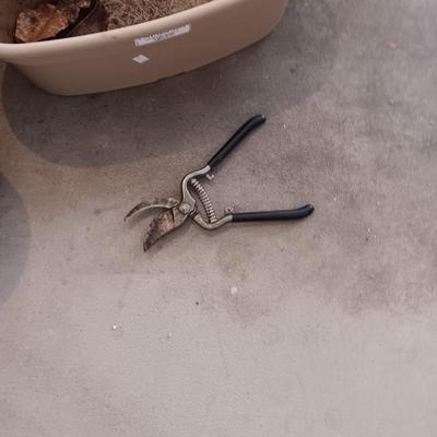 PLASTIC FLOWER POTS AND PRUNERS