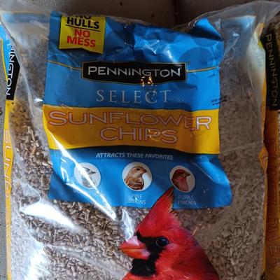 2 5 1/2 POUND BAGS OF PENNINGTON SELECT SUNFLOWER CHIPS