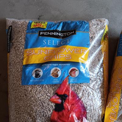 TWO 5 1/2 POUND BAGS OF SUNFLOWER CHIPS