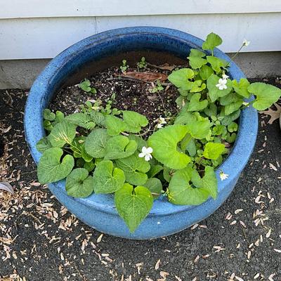 O577 Large Blue Glazed Terracotta Flower Pot