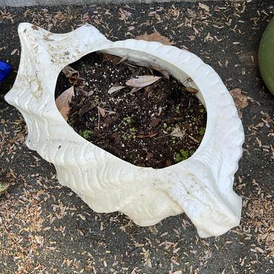 O592 Set of Three Conch Shell Planters
