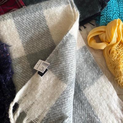 UBR8401 Lot of Winter Scarves, Gloves, & Hats