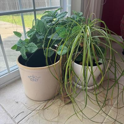 K8406 2-Gallon Crock with Ponytail Palm Tree