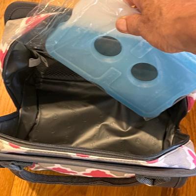 Trader Joe’s, Whole Foods & More Insulated Shopping Plus Lunch Bags (PBB-RG)