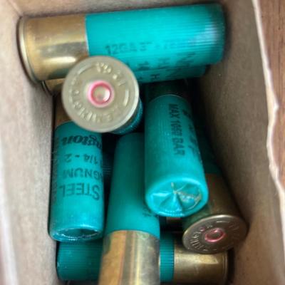 12 ga shotgun shells