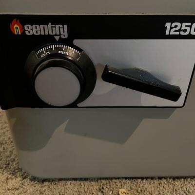 Sentrysafe 1250 Fire-resistant Combination