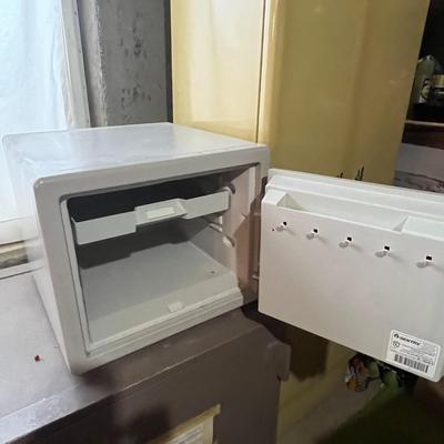 Sentrysafe Fireproof And Waterproof Safes
