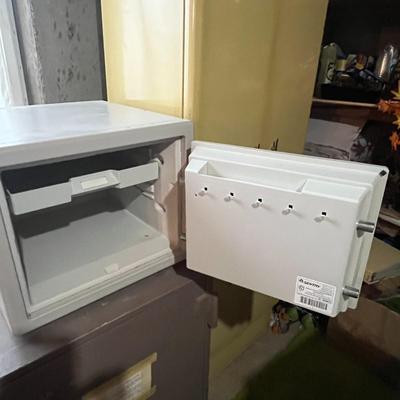 Sentrysafe Fireproof And Waterproof Safes
