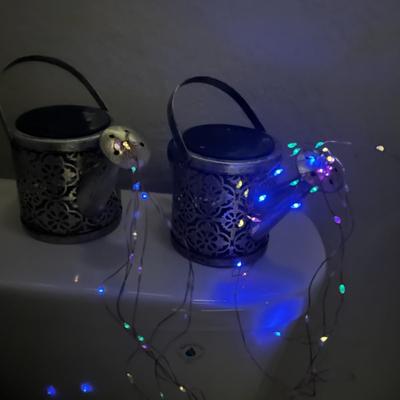 2 Solar Watering Can Lights