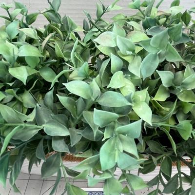 2 Artificial Faux Plants