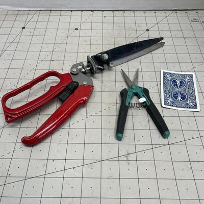 Needle Nose Pruner & Grass Trimmer