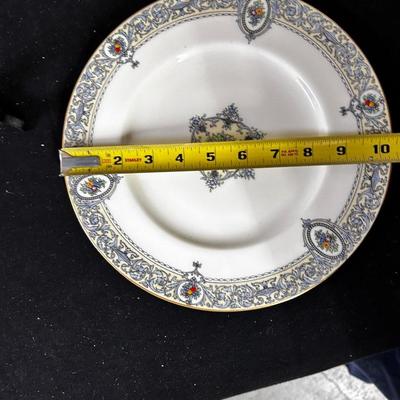 Royal Worcester "Portia" Dinner Plates (12)