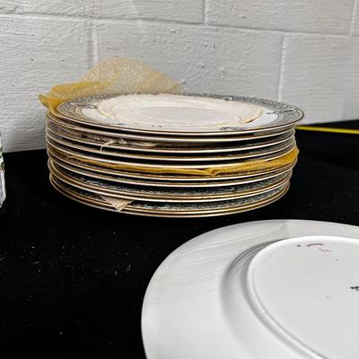 Royal Worcester "Portia" Dinner Plates (12)
