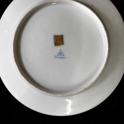 2 Dresden china plates