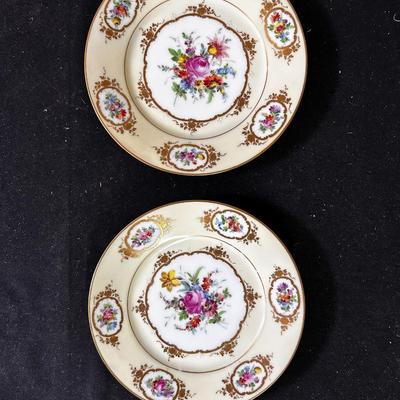 2 Dresden china plates