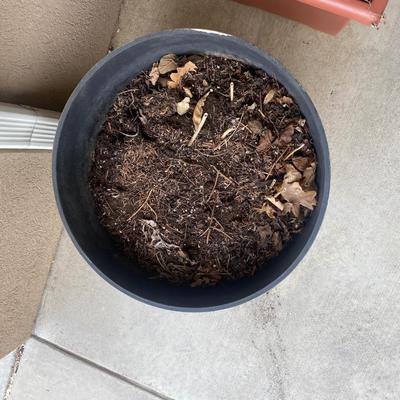 PLASTIC BARREL PLANTER & SQUARE PLANTER