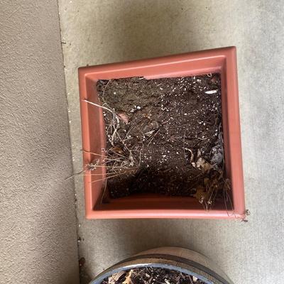 PLASTIC BARREL PLANTER & SQUARE PLANTER