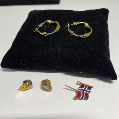 Nice earrings and pins
