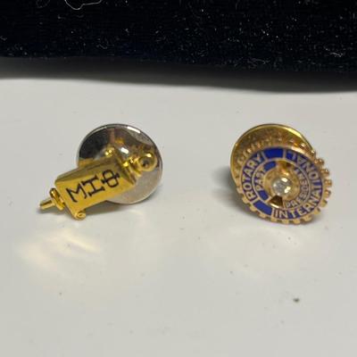 Nice earrings and pins