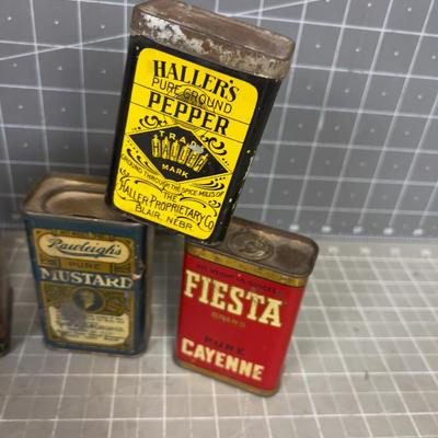 Fun! Spice and Tea Tins, Antique 