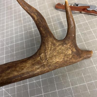 Antler Can Opener and a few wine Bottle Openers. 