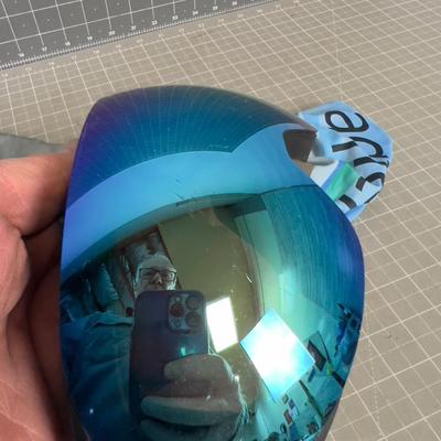 Ski Goggle Wild Horn Aurora 