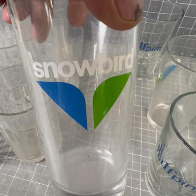 Clear Glass Tumblers Snowbird Plus 