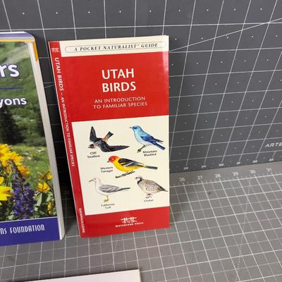 Local Area Guides, Hiking, Flowers, Birds Etc. 