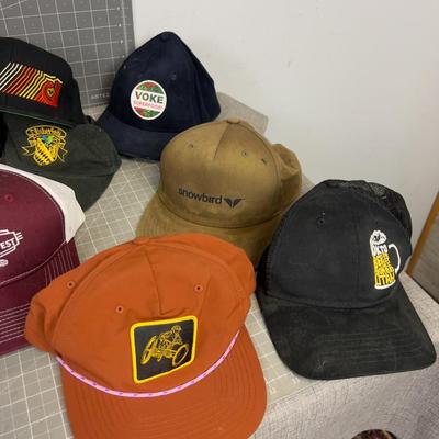 Ball Cap Collection; Ski, October Fest, Outdoor