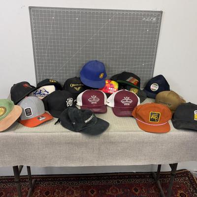 Ball Cap Collection; Ski, October Fest, Outdoor