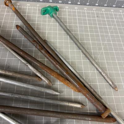 Spike n& Tent Pegs 12" Nails 