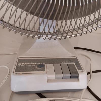 OSCILLATING FAN AND AN ELECTRIC HEATER