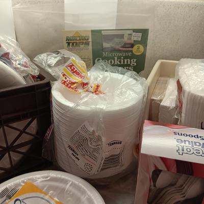 DISPOSABLE DINNERWARE