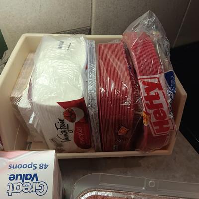 DISPOSABLE DINNERWARE