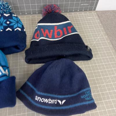 (6) SNOWBIRD Beanie's 