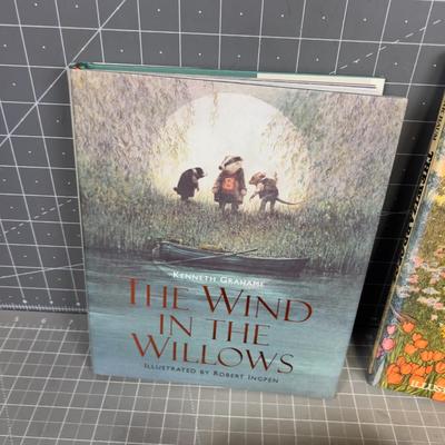 Beautifully Illustrated Story Books: Wizard Of Oz, Wind and the Willows, Watership Down 