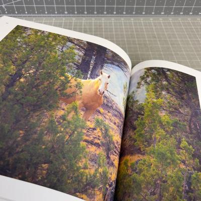 SKY DOG Wild Horses Coffee Table Book