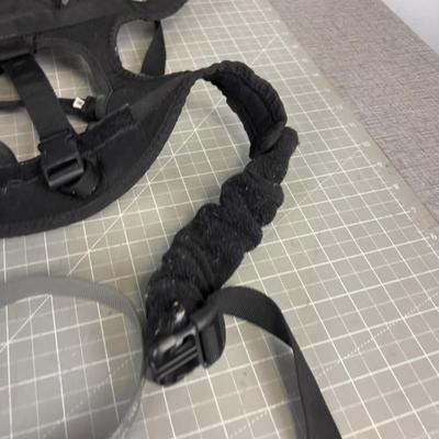 Dog Gear: Leashes, Collars, mixed lot