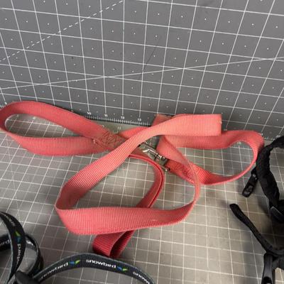 Dog Gear: Leashes, Collars, mixed lot