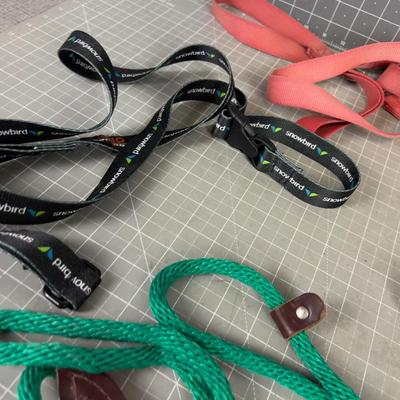 Dog Gear: Leashes, Collars, mixed lot