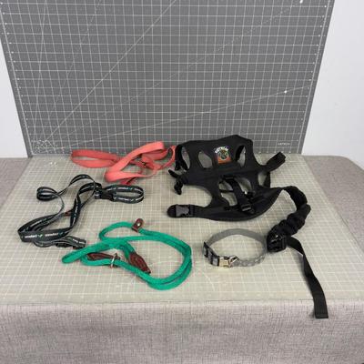 Dog Gear: Leashes, Collars, mixed lot