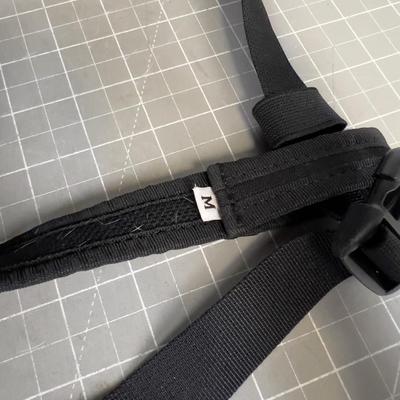 Dog Gear: Leashes, Collars, mixed lot