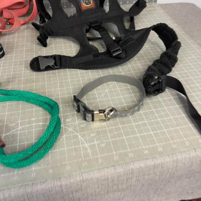 Dog Gear: Leashes, Collars, mixed lot