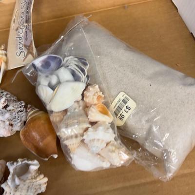 Sea Shell Collection, REAL