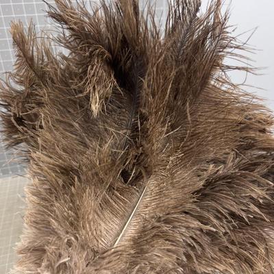 Real Feather Duster on a stick