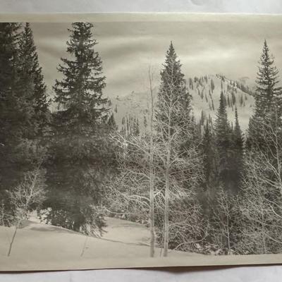 ALTA SKI RESORT UTAH PHOTOS 1950