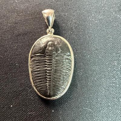 Jay King Fossil Canada