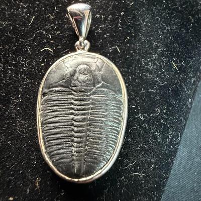 Jay King Fossil Canada